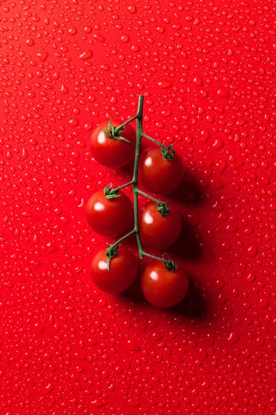 Elevated view of cherry tomatoes on red surface with water drops — Stock Photo