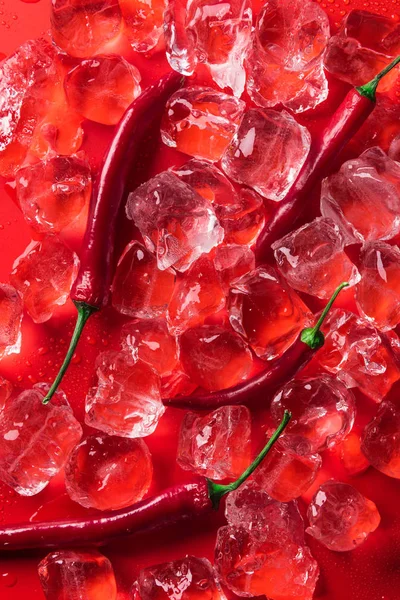 Vista dall'alto di cubetti di ghiaccio e peperoncino sulla superficie rossa — Foto stock
