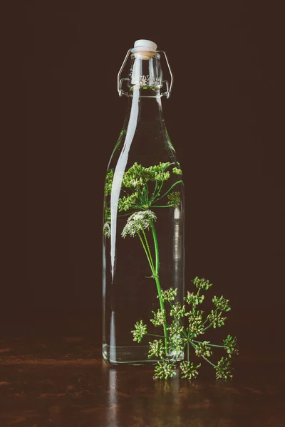 Bottiglia di vetro con acqua e aneto su tavolo di legno su nero — Foto stock