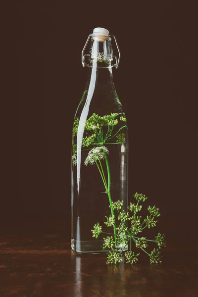 Bouteille en verre avec eau et aneth sur table en bois sur fond noir — Photo de stock