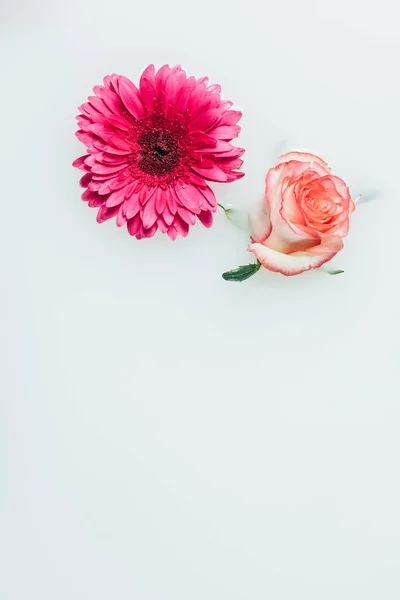 Vista superior de hermosas flores de rosa y gerberas en el fondo de la leche - foto de stock
