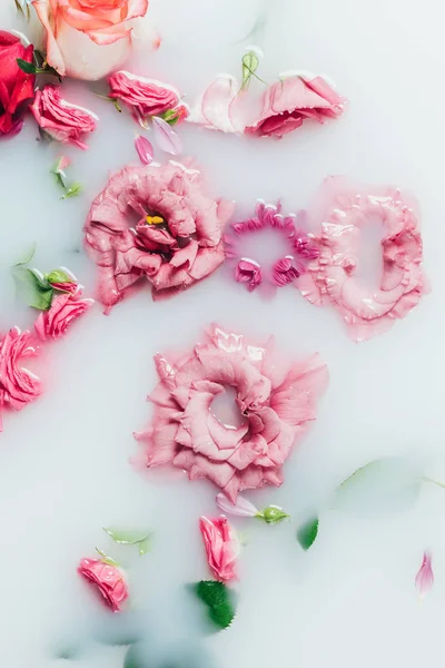 Top view of arranged beautiful pink roses and chrysanthemum flower in milk — Stock Photo