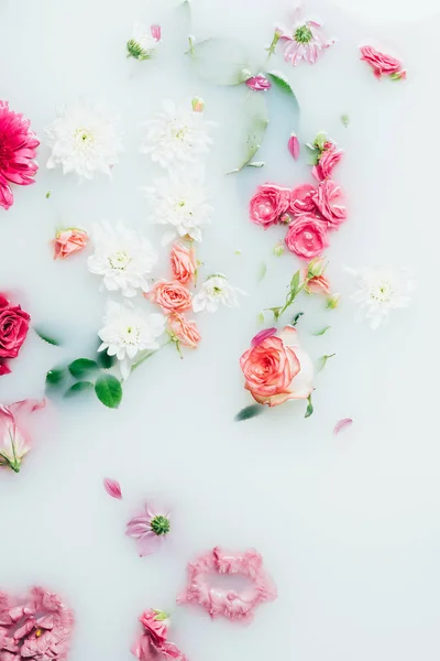 Draufsicht auf verschiedene schöne bunte Blumen im Milchhintergrund — Stockfoto