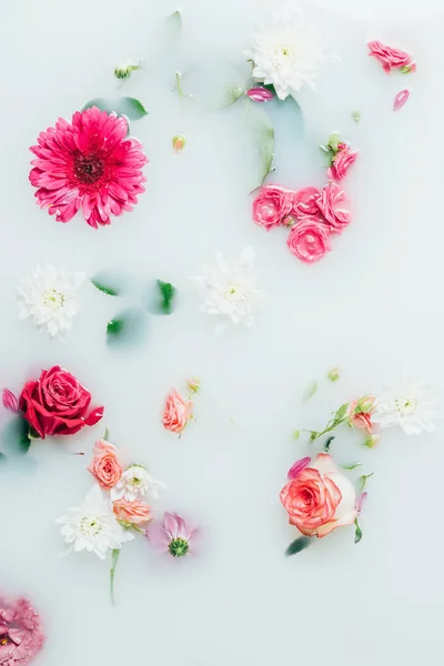 Vista dall'alto di vari bei fiori colorati sullo sfondo del latte — Foto stock