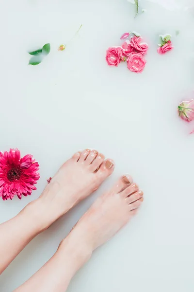 Partial view of female feet and beautiful colorful flowers in milk — Stock Photo