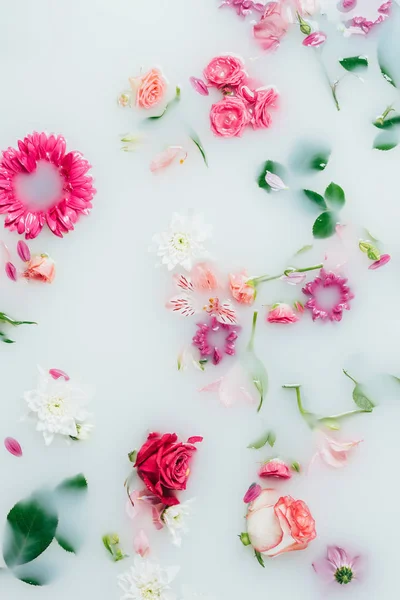 Draufsicht auf verschiedene schöne bunte Blumen im Milchhintergrund — Stockfoto