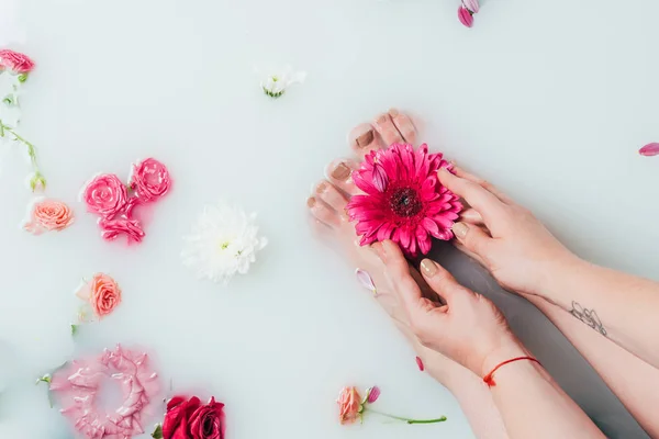 Partial view of woman and beautiful colorful flowers in milk — Stock Photo