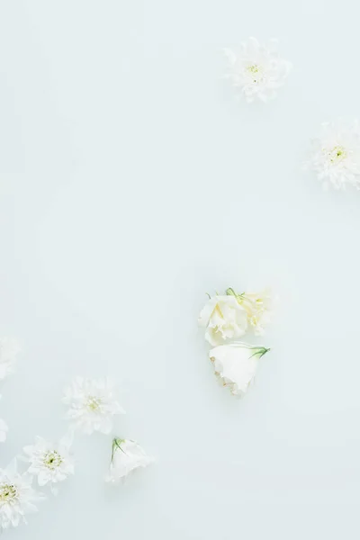 Vue de dessus de belles fleurs blanches disposées dans le lait — Photo de stock