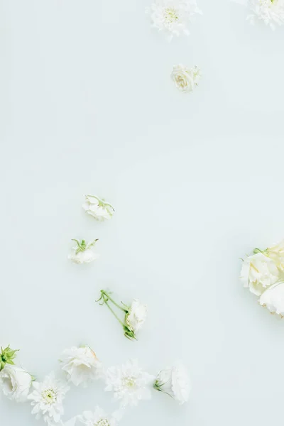 Vista dall'alto di disposti bei fiori bianchi nel latte — Foto stock