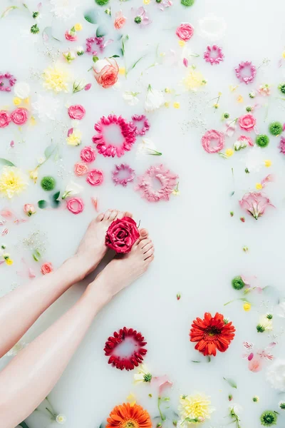 Tiro recortado de piernas femeninas y varias flores hermosas arregladas en leche - foto de stock