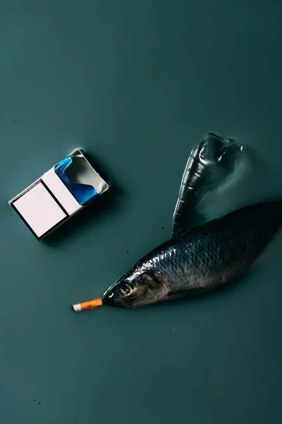 Vista superior de peces, botellas de plástico y cigarrillos que fluyen en el agua, concepto de protección del medio ambiente - foto de stock