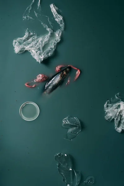 Vue de dessus des poissons et des déchets plastiques qui coulent dans l'eau, l'écologie et la protection de l'environnement — Photo de stock