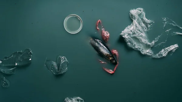 Вид сверху на рыбу, пластиковые бутылки и упаковки, текущие в воде, концепция экологической защиты — стоковое фото