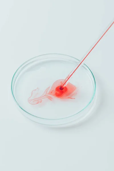 Close-up shot of blood pouring from pipette into petri dish — Stock Photo