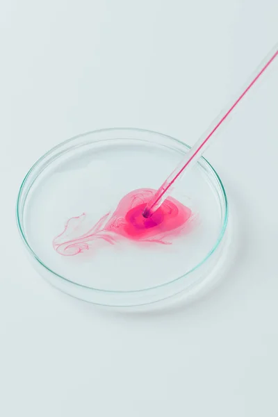 Close-up tiro de líquido rosa derramando de pipeta em placa de Petri — Fotografia de Stock