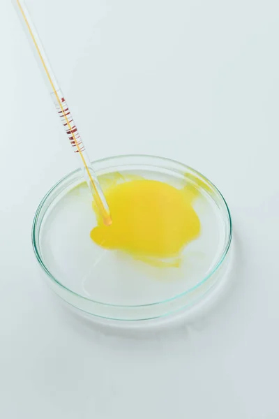 Tiro close-up de líquido amarelo derramando de pipeta em placa de Petri — Fotografia de Stock