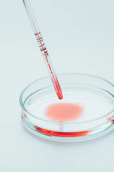 Nahaufnahme von Blut, das zur Untersuchung von der Pipette in die Petrischale fließt — Stockfoto