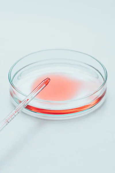 Close-up shot of blood pouring from pipette into petri plate for virus test — Stock Photo