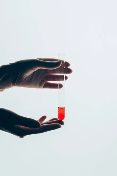 Tiro recortado de médico em luvas segurando tubo de teste de vidro com sangue isolado no branco — Fotografia de Stock