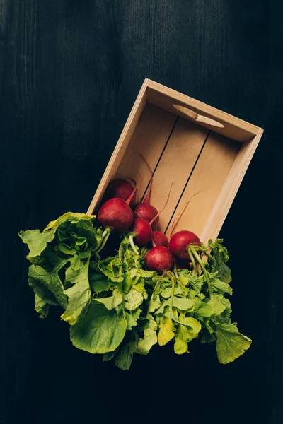 Vue du dessus des radis dans une boîte en bois sur une table sombre grise — Photo de stock