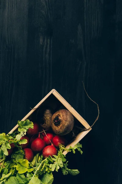 Top view of radishes and beetroots in wooden box on grey dark table — Stock Photo