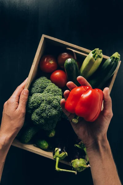 Cropped image of man holding bell pepper and wooden box in hands — Stock Photo