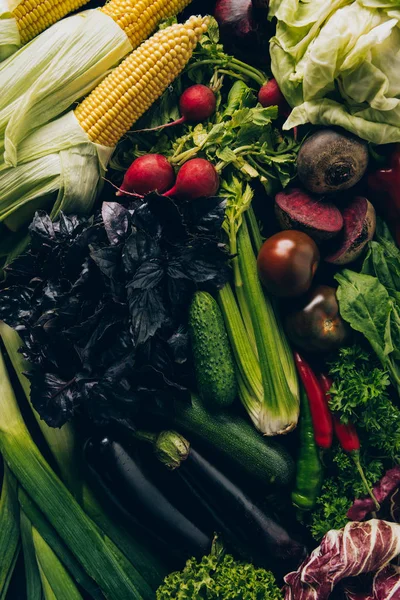 Top view of corn cobs, radishes and eggplants on table — Stock Photo