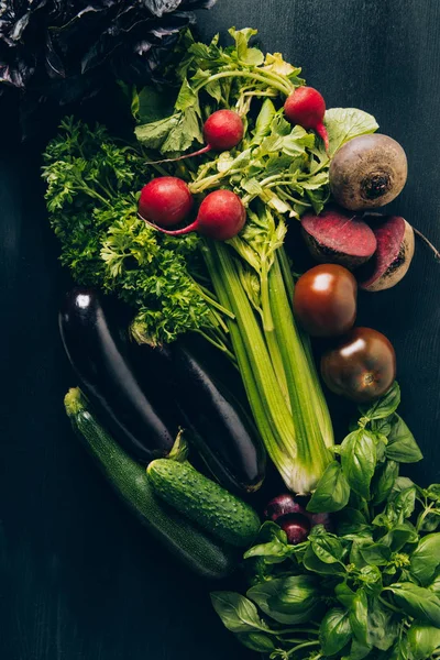 Top view of celery, radishes, eggplants and cucumbers on grey dark table — Stock Photo