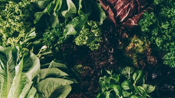 Top view of different leafy vegetables and herbs on table — Stock Photo