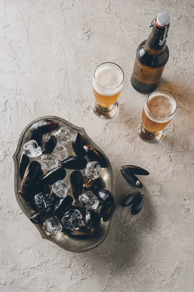 Top view of mussels in bowl, glasses and bottle of beer on concrete surface — Stock Photo