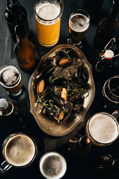 Top view of arrangement of beer and mussels with ice cubes on dark wooden tabletop — Stock Photo
