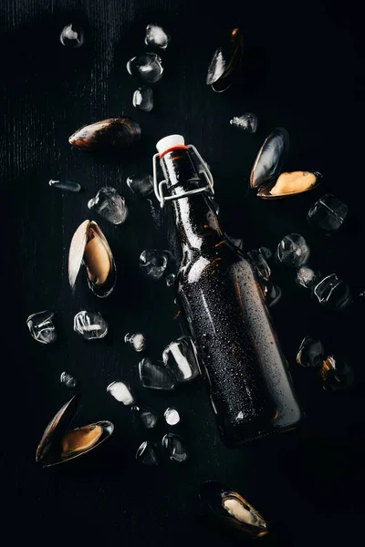 Acostado plano con botella de cerveza, mejillones y cubitos de hielo dispuestos en la mesa oscura — Stock Photo