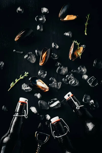 Flat lay with bottle opener, bottles of beer, mussels and ice cubes arranged on dark tabletop — Stock Photo