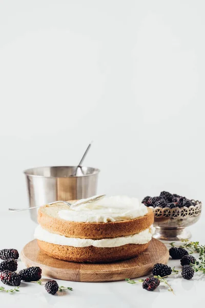 Close-up shot of freshly baked cake with cream on wooden board durrounded with blackberries on white — Stock Photo