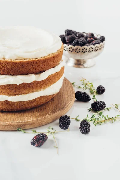 Close-up shot of freshly baked cake on wooden board durrounded with blackberries on white — Stock Photo