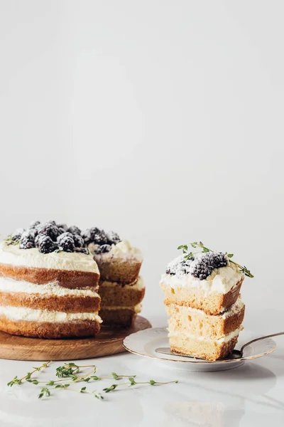 Gros plan de délicieux gâteau aux mûres tranchées — Photo de stock