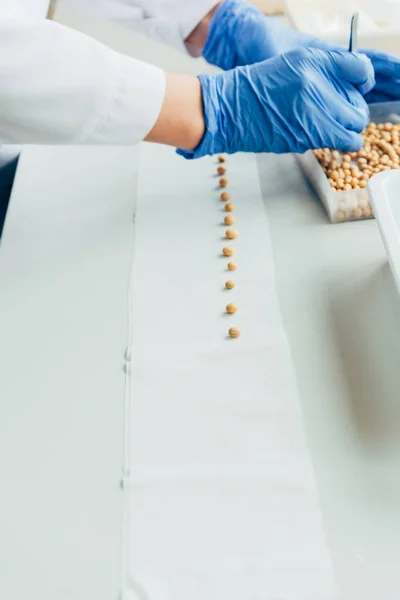 Vista parziale di biologo che mette semi in fila da pinzette a tavola in laboratorio agro — Foto stock