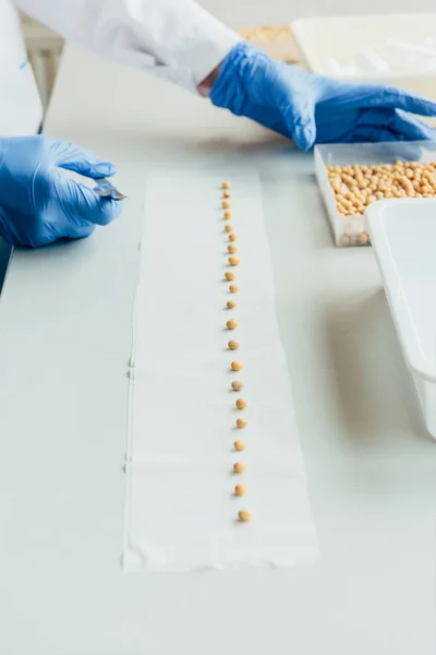 Partial view of biologist putting seeds in row by tweezers at table in agrolaboratory — Stock Photo