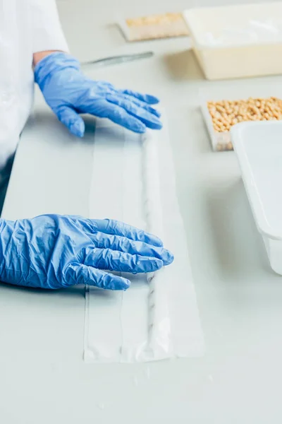 Visão parcial do biólogo em luvas de látex trabalhando à mesa com sementes em laboratório agro — Fotografia de Stock