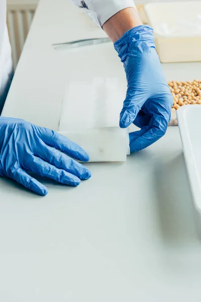 Imagen recortada de biólogo en guantes de látex trabajando en mesa con semillas en agrolaboratorio - foto de stock