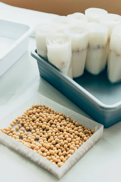 Close up view of seeds in plastic container at table in modern agro laboratory — Stock Photo