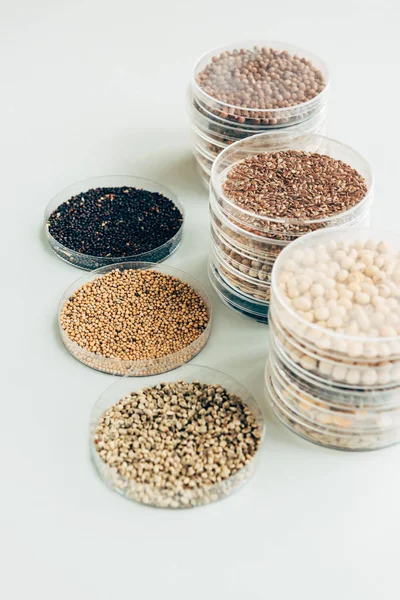 Selective focus of various seeds in plastic containers in modern agro laboratory — Stock Photo