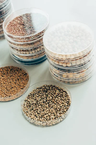 Enfoque selectivo de varios granos en envases de plástico en el laboratorio de biotecnología moderna - foto de stock