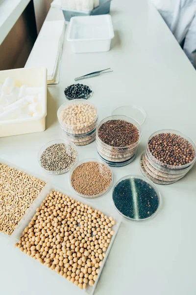 Vue grand angle de différentes graines dans des récipients en plastique à table dans un laboratoire agricole — Photo de stock