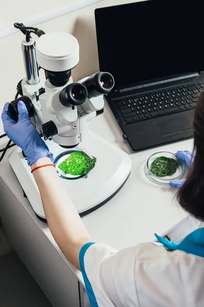 Частковий вигляд жінки-вченого, що вивчає зелений лист під мікроскопом за столом з ноутбуком в агролабораторії — стокове фото