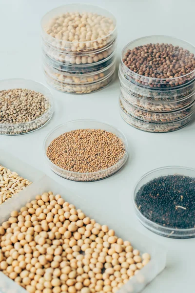 Selective focus of various grains in plastic containers in modern agro laboratory — Stock Photo