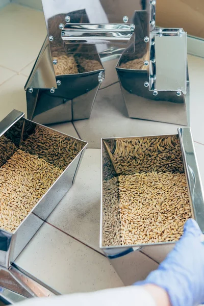 Immagine ritagliata di scienziato che lavora con grani in laboratorio agro — Foto stock
