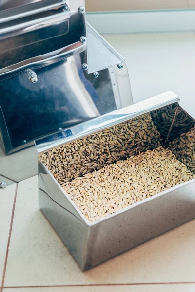Messa a fuoco selettiva di mucchio di cereali in contenitore nel moderno laboratorio agro — Foto stock
