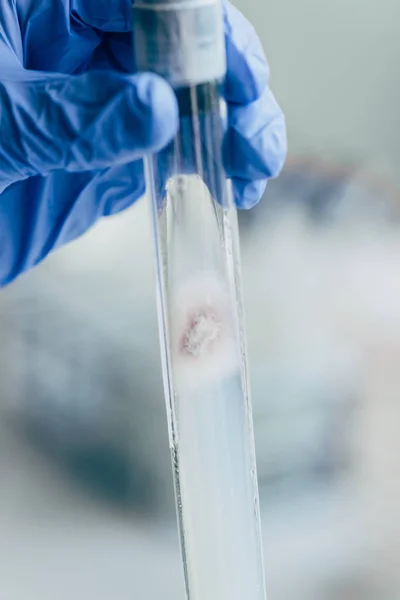 Selective focus of biologist holding tube with reagent — Stock Photo