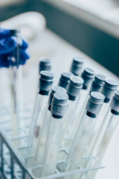 Enfoque selectivo de los frascos y la mano del biólogo detrás en el laboratorio moderno - foto de stock